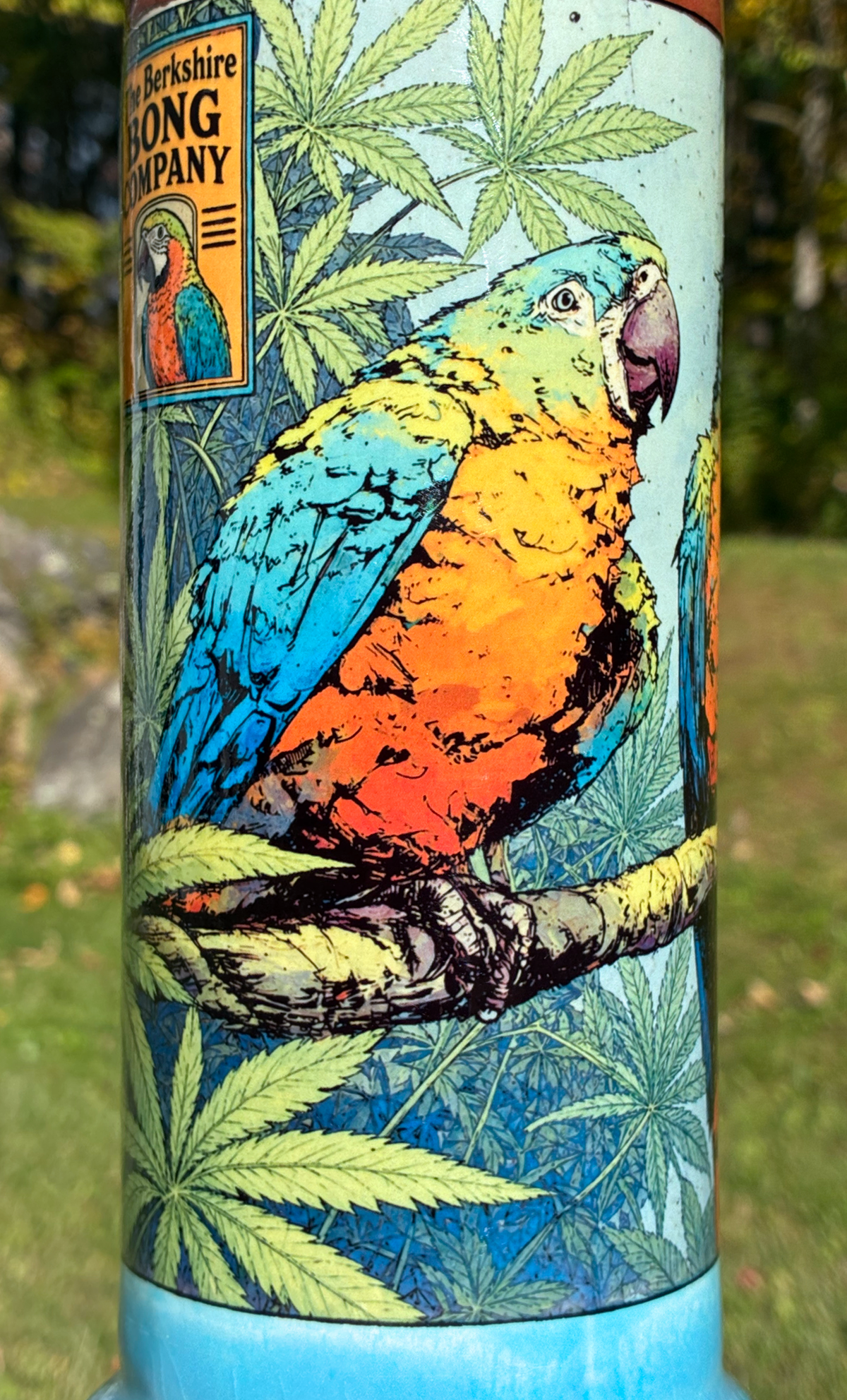 Endless Summer Bright Parrot Ceramic Bong