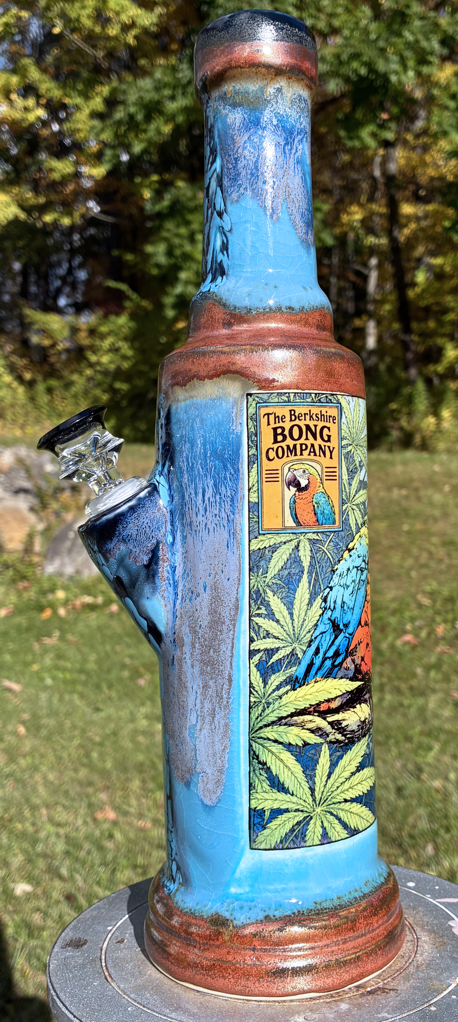 Endless Summer Bright Parrot Ceramic Bong